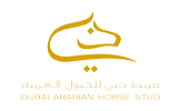 Dubai-Arabian-Horse-STud